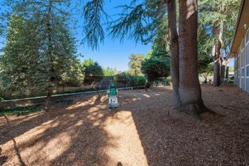 <B>dog park</b> - a spacious area for your dog to run and play